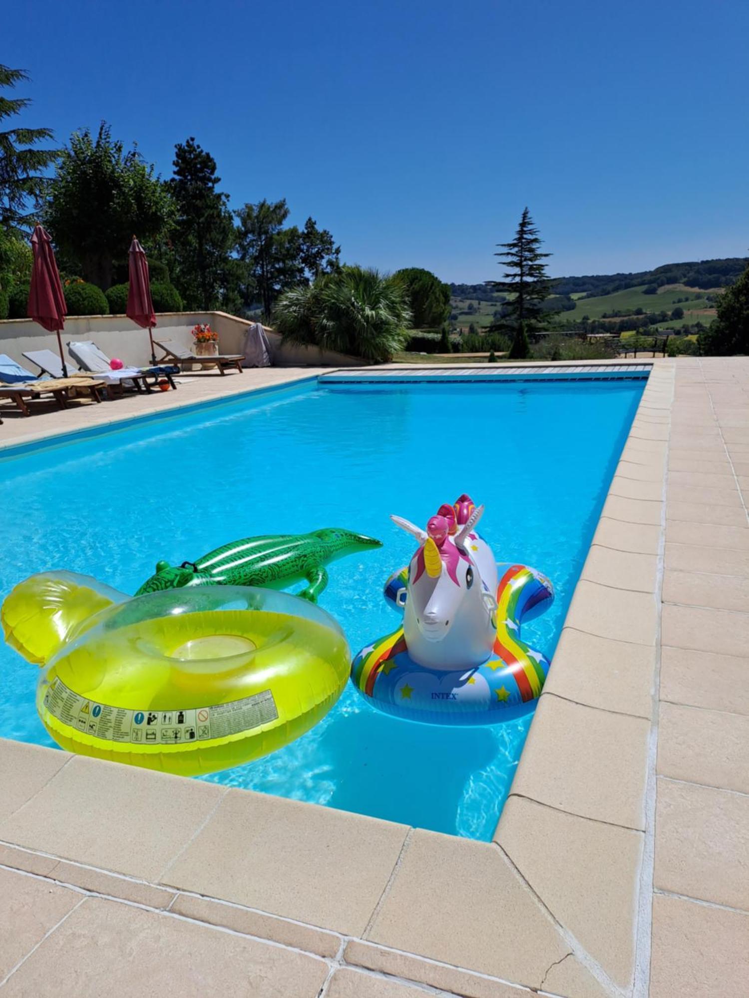 La Maison De Maitre Sainte-Livrade-sur-Lot Екстериор снимка
