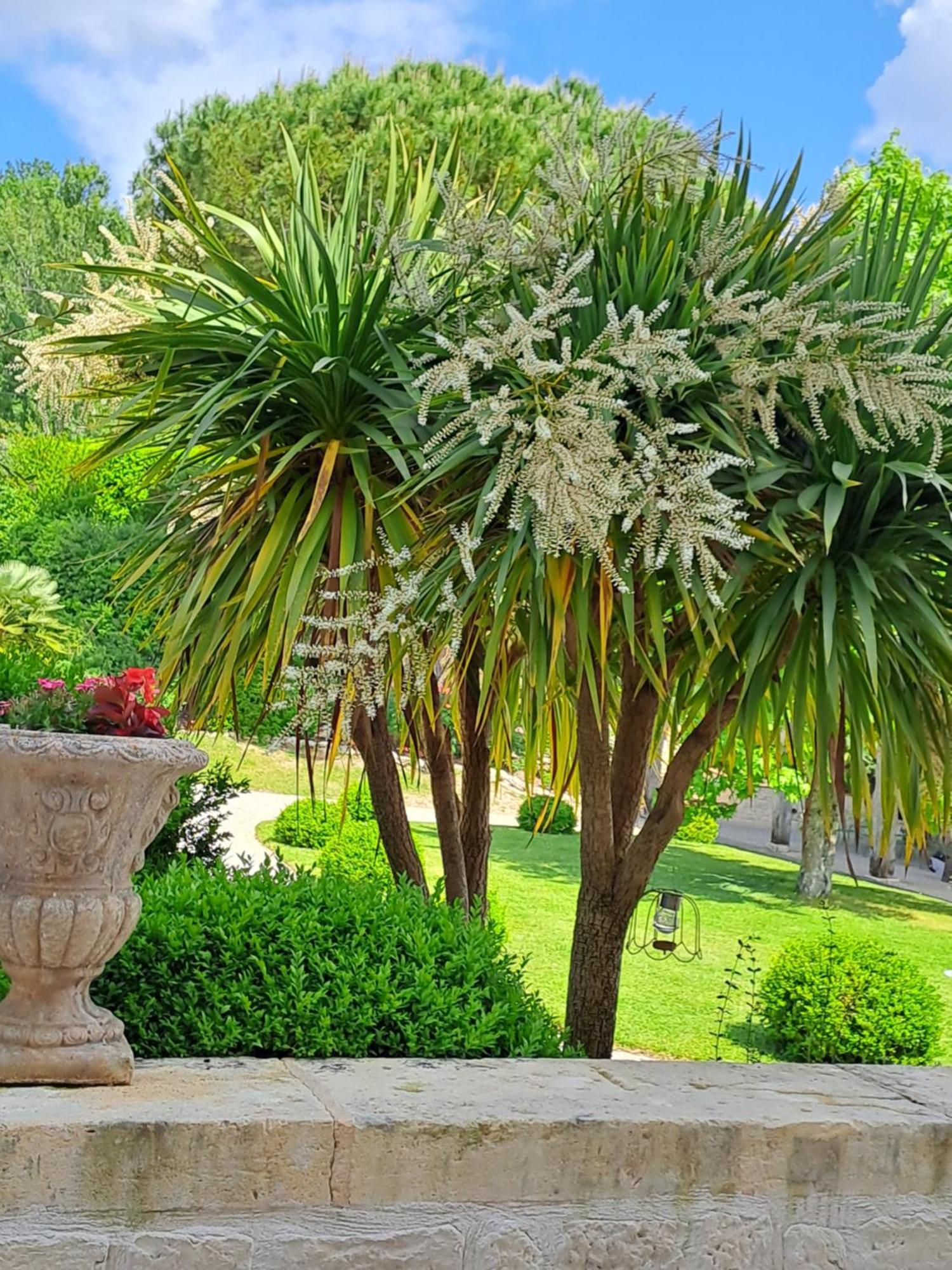 La Maison De Maitre Sainte-Livrade-sur-Lot Екстериор снимка